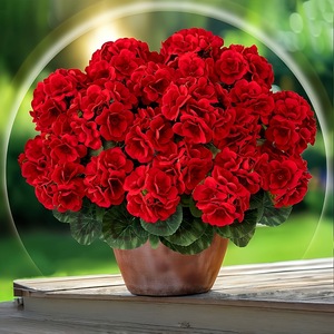 <span class=keywords><strong>50</strong></span> Pezzi <span class=keywords><strong>Rose</strong></span> <span class=keywords><strong>Rosse</strong></span> Artificiali, Fiori al Tatto Realistici in Velluto, Bouquet di <span class=keywords><strong>Rose</strong></span> Artificiali in Seta, Fiori Finti Resistenti ai Raggi UV - Product Image 4