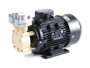 Bomba de Transferencia de Aceite Caliente Aulank WD-20N con 1 Año de Garantía - Product Image 2