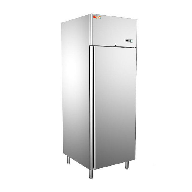 Upright Deep Freezer Commercial Vertical Refrigeration Freezer Refrigerator and Freezer Stainless Steel for Hotel