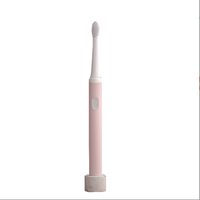 Cepillo de Dientes Eléctrico Portátil, Económico, Resistente al Agua, Recargable, con Cabezal de Cepillo Suave Reemplazable, para Blanqueamiento Dental