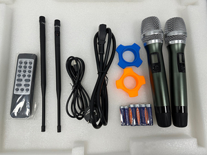 Máy khuếch đại karaoke gia đình 3 trong 1 tích hợp tất cả trong một với bộ khuếch đại công suất kỹ thuật số DSP - Product Image 4