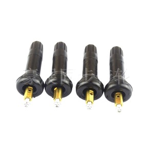 Noyaux de valve TPMS pour Buick Regal Lacrosse 11,5 mm, sans chambre à air, en cuivre, embout américain - Product Image 5