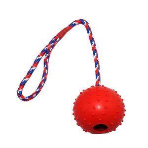 Giocattolo giocattolo per cani interattivo su una corda premio durevole Chew Chew chitch toch <span class=keywords><strong>Dog</strong></span> Toy Toy - Product Image 4