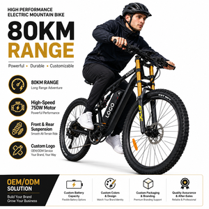 Bicicleta Eléctrica Todoterreno de Montaña, 27.5 Pulgadas, 750W, 48V, 20Ah, 80km de Autonomía, Cuerpo de Aleación de Aluminio, Venta al Por Mayor de Fábrica - Product Image 1