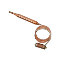 Sonde de température Eurosits 630, alliage cuivre-argent, protection contre la surchauffe, fils de connexion, capuchon en aluminium