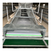 Entièrement automatisation 275g fil galvanisé à chaud type A équipement de volaille meilleure cage de couche manuelle à vendre grande ferme