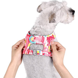 Harnais pour chien avec laisse sans traction Harnais de marche pour chien sans évasion Gilet réglable Polyester avec laisse de plomb Harnais pour chien rembourré doux - Product Image 6