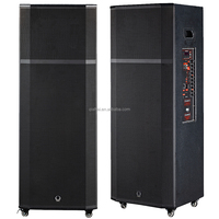 Enceinte portable active double 15 pouces T215 1000W RMS en contreplaqué pour musique USB, concerts en extérieur et soirées