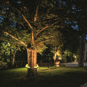 18W DMX512 RGB <span class=keywords><strong>LED</strong></span> cảnh quan Spotlight IP65 ngoài trời không thấm nước thay đổi màu sắc ánh sáng cây cho Palm dừa vườn công viên chiếu sáng - Product Image 5