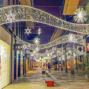 LED 조명 거리 대형 조명 장식 2026 쇼핑몰 호텔 장식 - Product Image 2