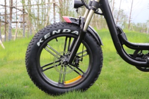Bafang vélo de montagne électrique <span class=keywords><strong>à</strong></span> entraînement arrière pour adultes, <span class=keywords><strong>pneu</strong></span> Offre Spéciale de 20 pouces - Product Image 5