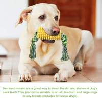 Kinghon Nouveaux Jouets à Mâcher pour Chiens Design Original et Économique, Jouets pour Animaux de Compagnie, Accessoires pour Chiens