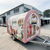 Petit chariot alimentaire remorquable en acier inoxydable, remorque à café mobile entièrement équipée pour la vente de frites et de boissons en extérieur dans les parcs