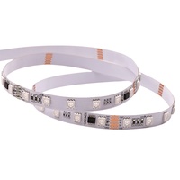 Bande LED adressable à couleur de remplissage intégrée numérique DMX512 SM18512 IC SMD5050RGB 24V 60LEDs