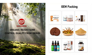 אריזת לוגו מותאם אישית 180 גרם/שקית קפה נמס תמצית פטריות ריישי תבלינים עשבי תיבול טעם מותג פרטי שירות OEM/ODM ברמה גבוהה - Product Image 6