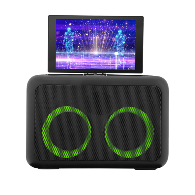 Diamond Patent Singing PA System Portable Bluetooth Karaoke Party Speaker Karaoke Machine with 2 Wireless Microphones for Kids