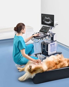 Mejor Precio Profesional de Ultrasonido Mindray, Mindray Vetus 50, Ultrasonido Veterinario con Carro para Diagnóstico Animal - Product Image 1