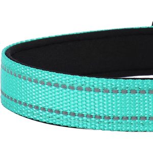 Pwod Reflective <b>Dog</b> <b>Collar</b> Medium Adjustable Nylon With Buckle For Medium <b>Dogs</b> Teal - Product Image 5