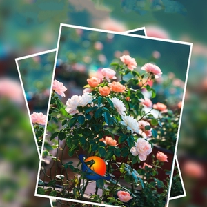 A3/A4/A3 + 350g papel fotográfico de inyección de tinta brillante de doble cara papel Bond recubierto de arte para impresión fotográfica de alta calidad - Product Image 1