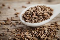 Graines de cumin aromatiques de qualité supérieure, pour la cuisine et l'industrie alimentaire, masala, origine Bengale occidental, durée de conservation de 12 mois, huile essentielle M.D.