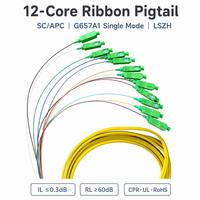 Pigtail à ruban optique 12 fibres SC/APC G657A1 SM 0,9 mm LSZH, pigtail à dérivation codée par couleur pour FTTH, centre de données et épissure télécom