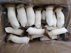 Detan Usine chinoise mise en bouteille cultivée exportée chinoise exotique fraîche Pleurotus <span class=keywords><strong>Eryngii</strong></span> King Prix <span class=keywords><strong>champignon</strong></span> huître - Product Image 6