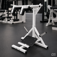Machine professionnelle de levée de mollets à charge libre pour la musculation des jambes et des mollets, équipement de fitness pour salle de sport