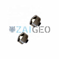 Wasserstrahl-Diamantdüse 20481705 20481706 20481707 20481708 20481709 20481710 20481711 20481712 20481713 20481716 Düse