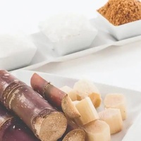 Food Enzyme, Dextranase Powder, Used in Sugar Industry, Factory Sale