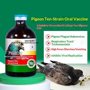 Vacuna Líquida Oral Diez en Uno de Triple Cepa para Palomas de Competición y Ornamentales, Apoyo Inmunológico con Taurina, Previene y Trata Seis Enfermedades - Product Image 2