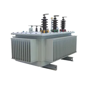 SBH15 Mounted Oil Immersed Hermetically Sealed Distribution Transformer 10KV 3 Phase Oil immersed Amorphous metal Transformer