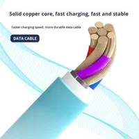 Kabel Data Pengisian Cepat Tipe-C ke Tipe-C 120W dengan Konduktor Tembaga Murni, Selubung TPE, dan Kompatibilitas Silikon untuk 15/16/17 Pro Max