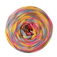 Polyester Space Dyed T Shirt Yarn Crochet Yarn 285g 2cm Width Brand New Fabric Knitting Yarn for Crochet Bags