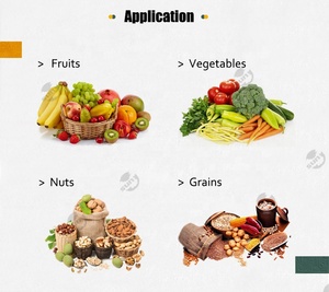 Équipement multifonctionnel de lavage et de nettoyage de pommes de terre, date brosse à fruits <span class=keywords><strong>machine</strong></span> à laver pour fruits et légumes - Product Image 4