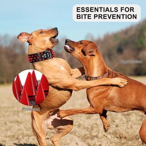 Cool Spikes Collar de perro con tachuelas 2 collares anchos de cuero PU para perros grandes Pitbull <span class=keywords><strong>pastor</strong></span> alemán collares para perros grandes suministros para mascotas S XL - Product Image 5