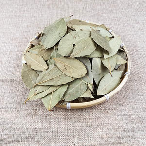 ورق اللورل الصيني المجفف عالي الجودة توريد المصنع Yue Gui - Product Image 3