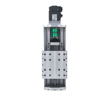 Longyao LYKR120 - Plataforma de Movimiento Lineal Motorizada de Alta Precisión de 2 Ejes, Fabricada en Aluminio 6061, con Guía Lineal para CNC