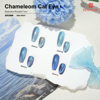 Vernis Gel UV Effet Œil de Chat Caméléon avec Aimant, 10 Couleurs, 15ml, DIY, Designer, Non Toxique, Longue Durée