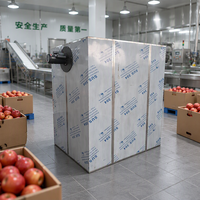 Four de séchage industriel pour la transformation alimentaire : machine à tranches de pêches et de figues