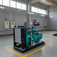 Générateur au gaz naturel de 30 kW pour la maison, alimentation de secours 37,5 kVA, alimentation continue au GPL/GNC
