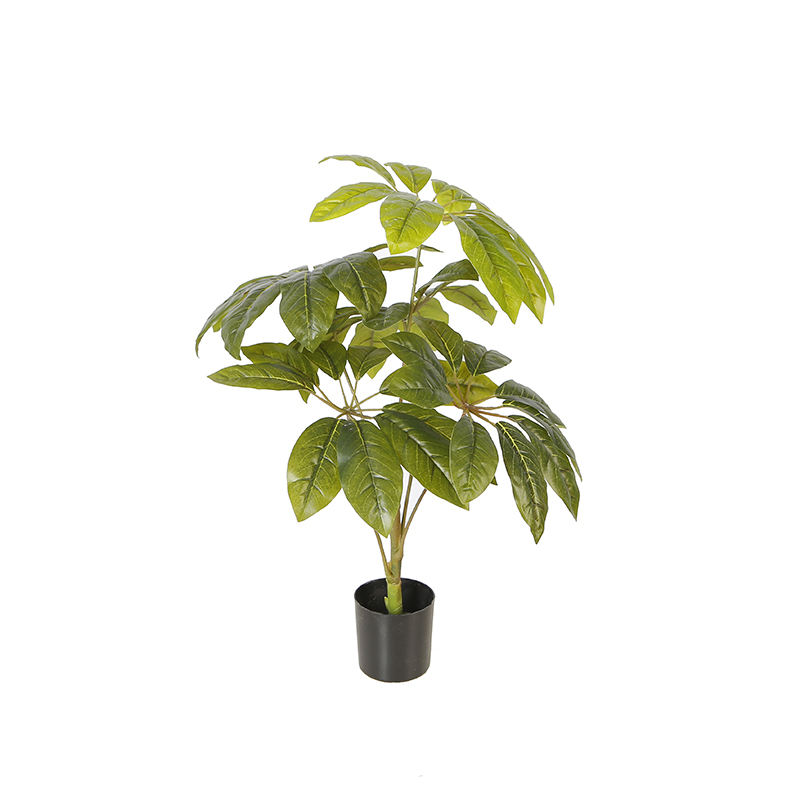 กองทัพสีเขียว