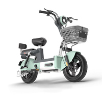 Vélo Électrique Urbain Adulte 14 Pouces Dernier Modèle en Gros, Moteur Brushless Haute Vitesse 48V, Cadre en Acier Inoxydable, Batterie au Plomb