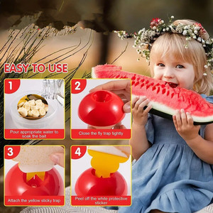 Mini Portable Sticky Glue Insect <b>Trap</b> Wholesale Household Fruit <b>Fly</b> Catcher <b>Indoor</b> <b>Fly</b> Trapper for Home Hotel Restaurant Use - Product Image 5