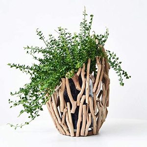 <span class=keywords><strong>Vase</strong></span> à fleurs en <span class=keywords><strong>bois</strong></span> personnalisé, petits Vases créatifs en <span class=keywords><strong>bois</strong></span> pour décoration de Table, de maison, offre spéciale - Product Image 1