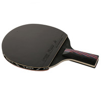 Raquette Double Face de Tennis de Table, réglable, à manches courtes, Ping-Pong, raquette