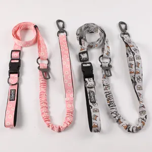 Two Traffic Padded Comfort Handles Bungee Lead Large Dog Custom Packaging Logo Strong Hands Free Dog Leash