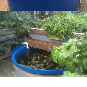 Customize Poly Food Grade Aquaponics Grow Tray Hydroponic <strong>Fish</strong> <strong>tank</strong> - Product Image 2