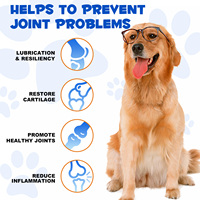 OIMMAI Gouttes liquides pour animaux de compagnie : Réduit l'inflammation, favorise la santé des articulations – Supplément pour chiens à base de chondroïtine et de glucosamine