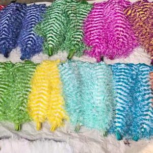 <span class=keywords><strong>Plumes</strong></span> d'autruche zébrées multicolores de 65-70 cm en gros pour coiffures Danza Azteca et décorations de costumes de carnaval - Product Image 1
