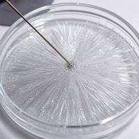 Acétate de sodium trihydraté CH3COONa 3H2O 99% Cristaux blancs de qualité industrielle